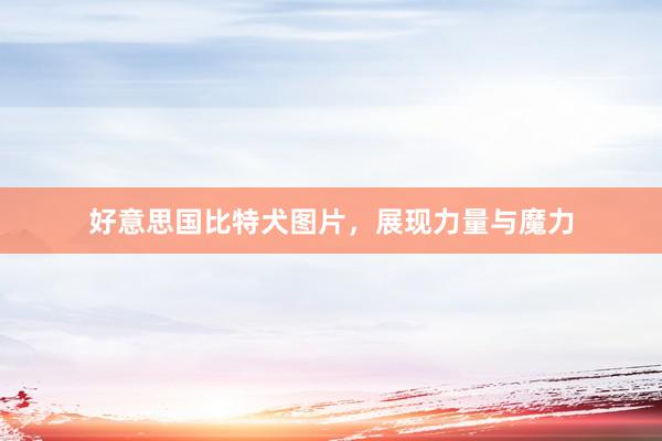 好意思国比特犬图片，展现力量与魔力