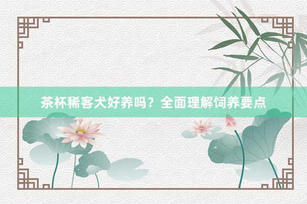 茶杯稀客犬好养吗？全面理解饲养要点
