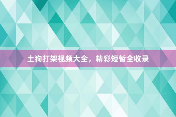 土狗打架视频大全，精彩短暂全收录