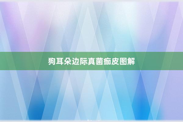 狗耳朵边际真菌痂皮图解